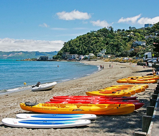Image of Wellington at the beach, home of Website Redesigns
