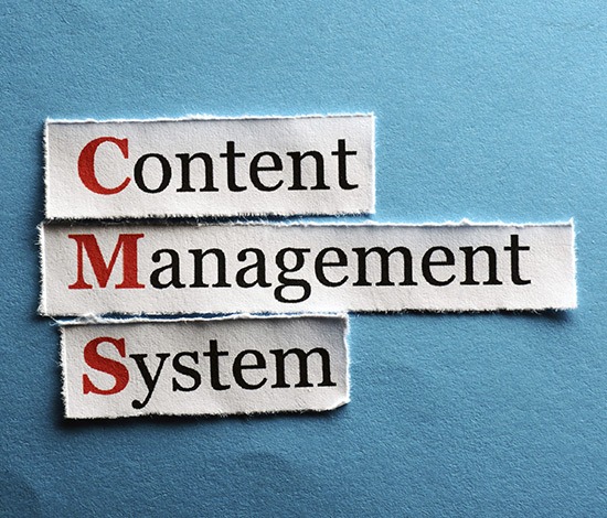 Image of the content management system we use for our Website Redesigns projects