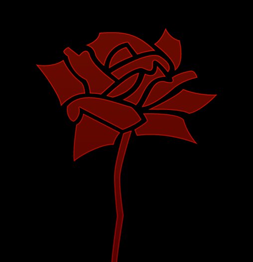 Redrose illustration